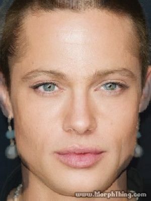 A morphed photograph of Brad Pitt with Angelina Jolie.  [Courtesy MorphThing.com]