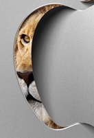 OS X Lion detail