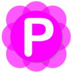 Pamela for Skype